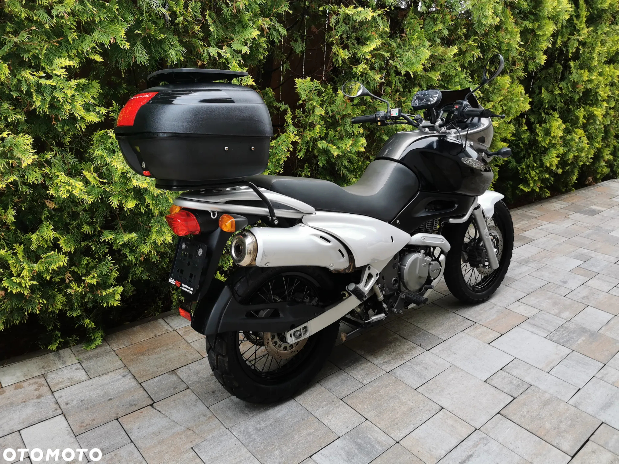 Suzuki XF