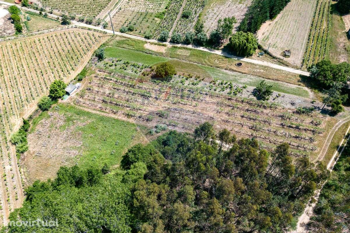 Terreno  para venda - Grande imagem: 3/18