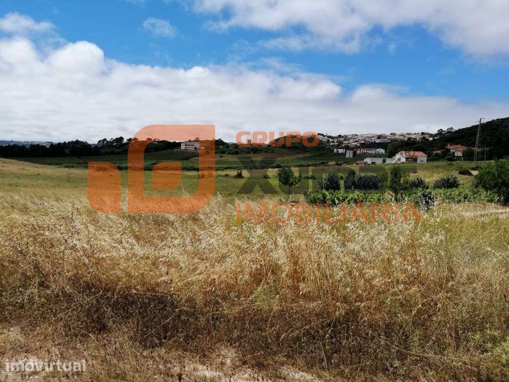 Terreno Rústico com quase 3 hct. plano- Zona de Óbidos! - Grande imagem: 2/6