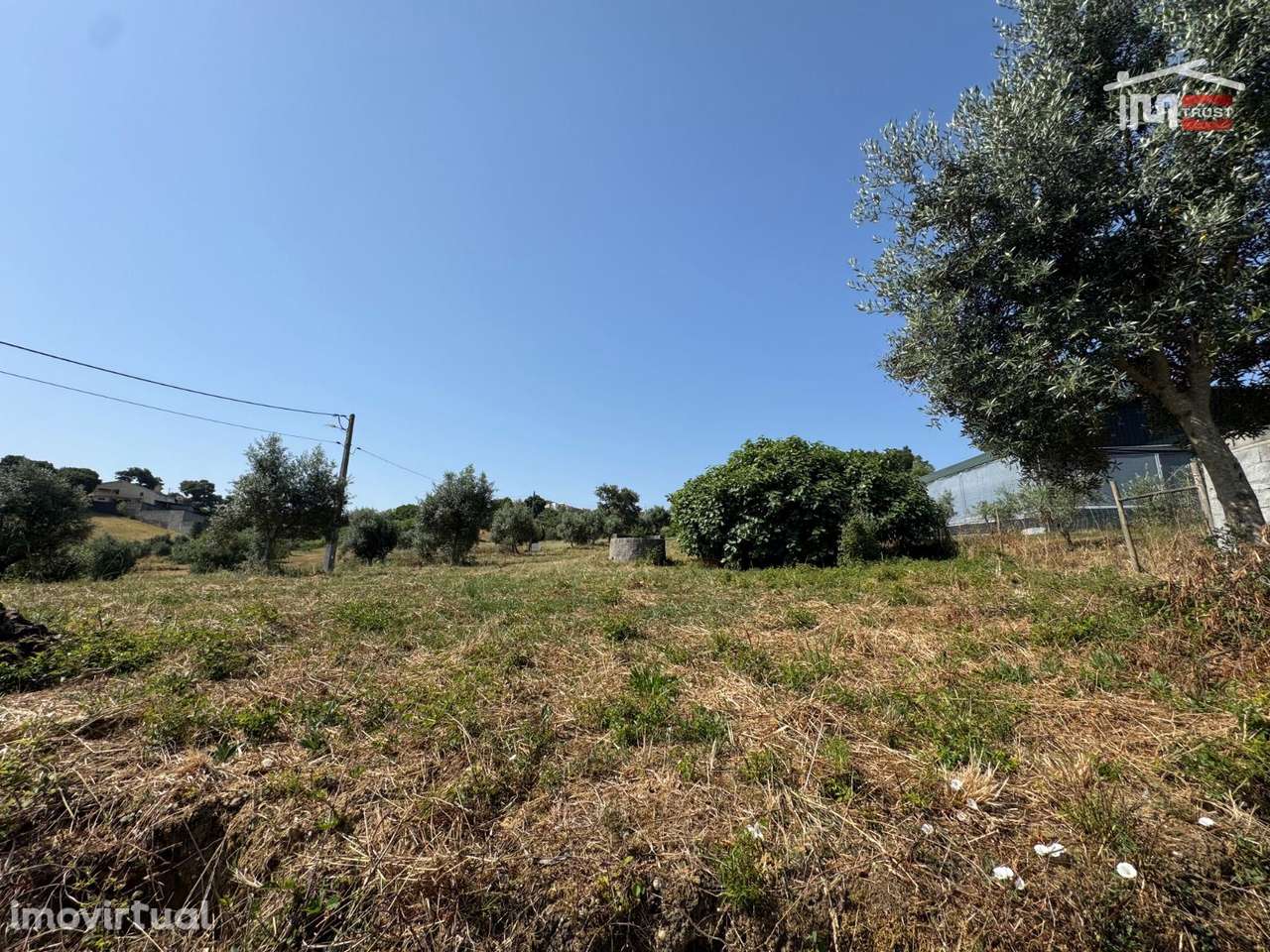 Terreno rústico com olival, poço e possibilidade de instalar Estufa... - Grande imagem: 3/31