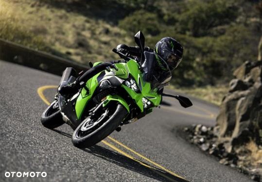 Kawasaki Ninja 500 - 12