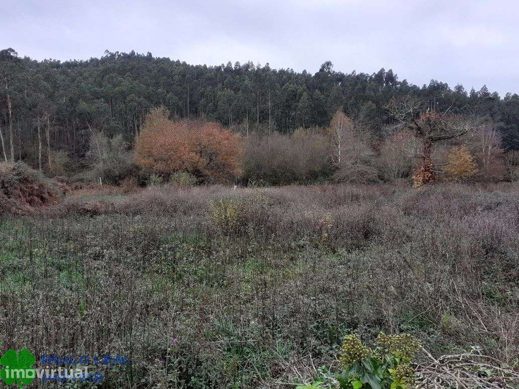 terreno alfena junto á codiceira - Grande imagem: 2/3