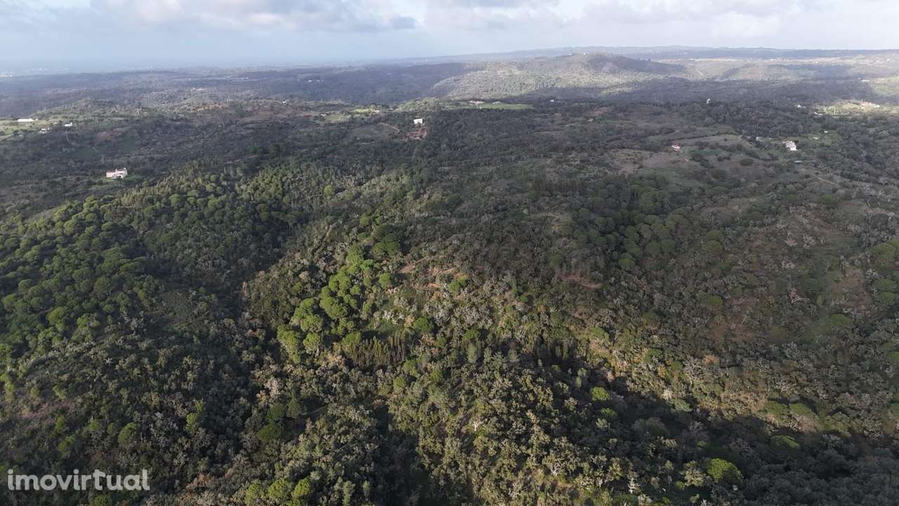 Terreno 17.9Ha com PIP Aprovado e vista mar em São Francisco da Serra - Grande imagem: 2/38