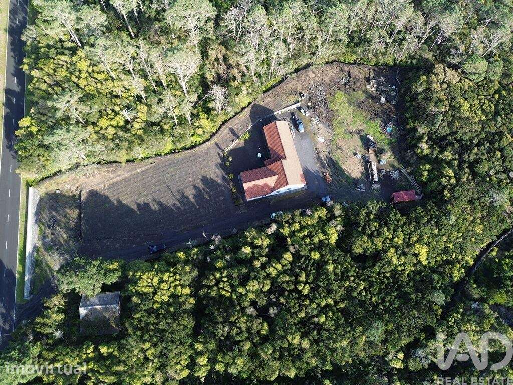 Casa / Villa T3 em São Caetano de 220,00 m2 - Grande imagem: 3/19