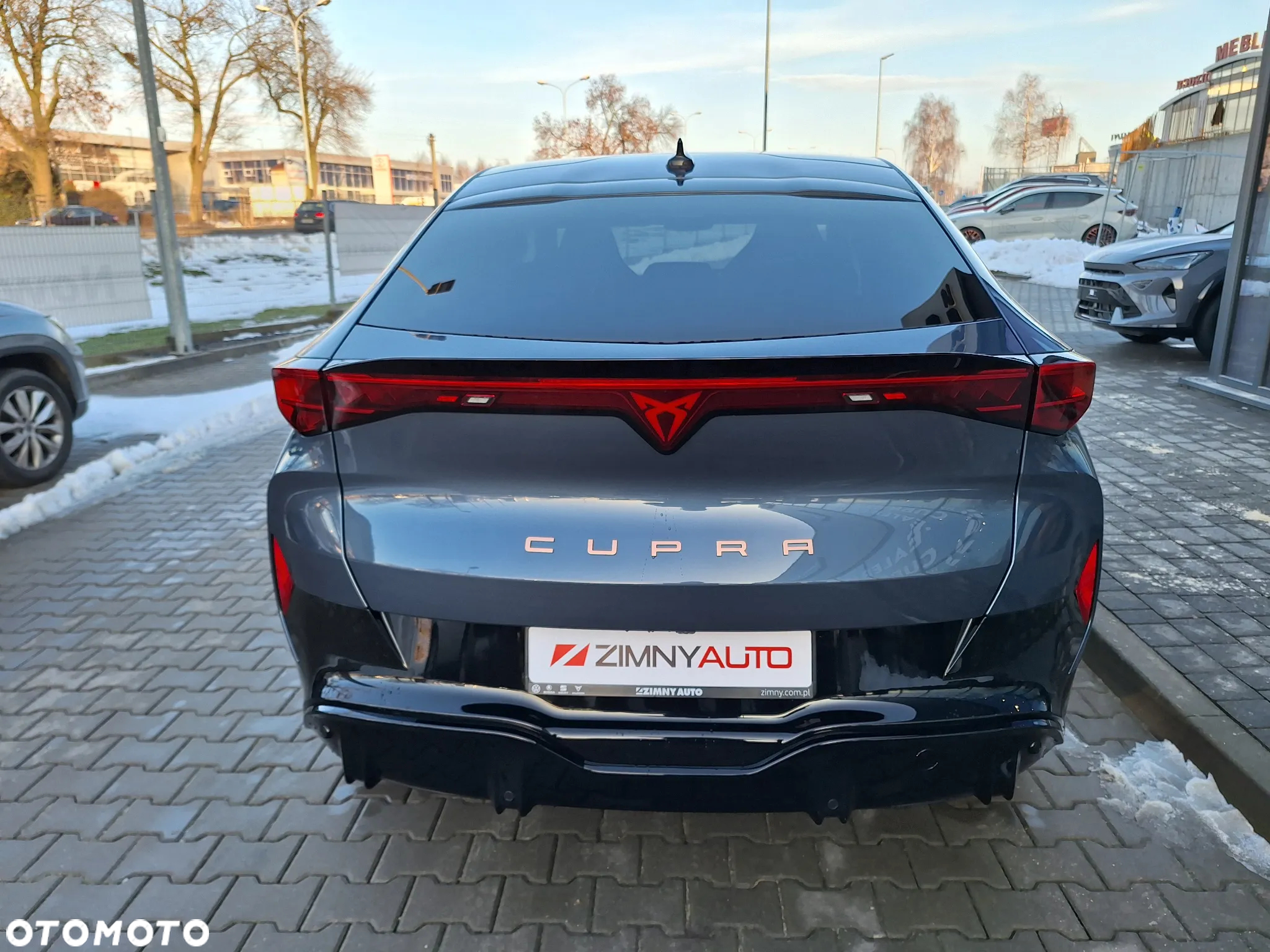 Cupra Tavascan - 8
