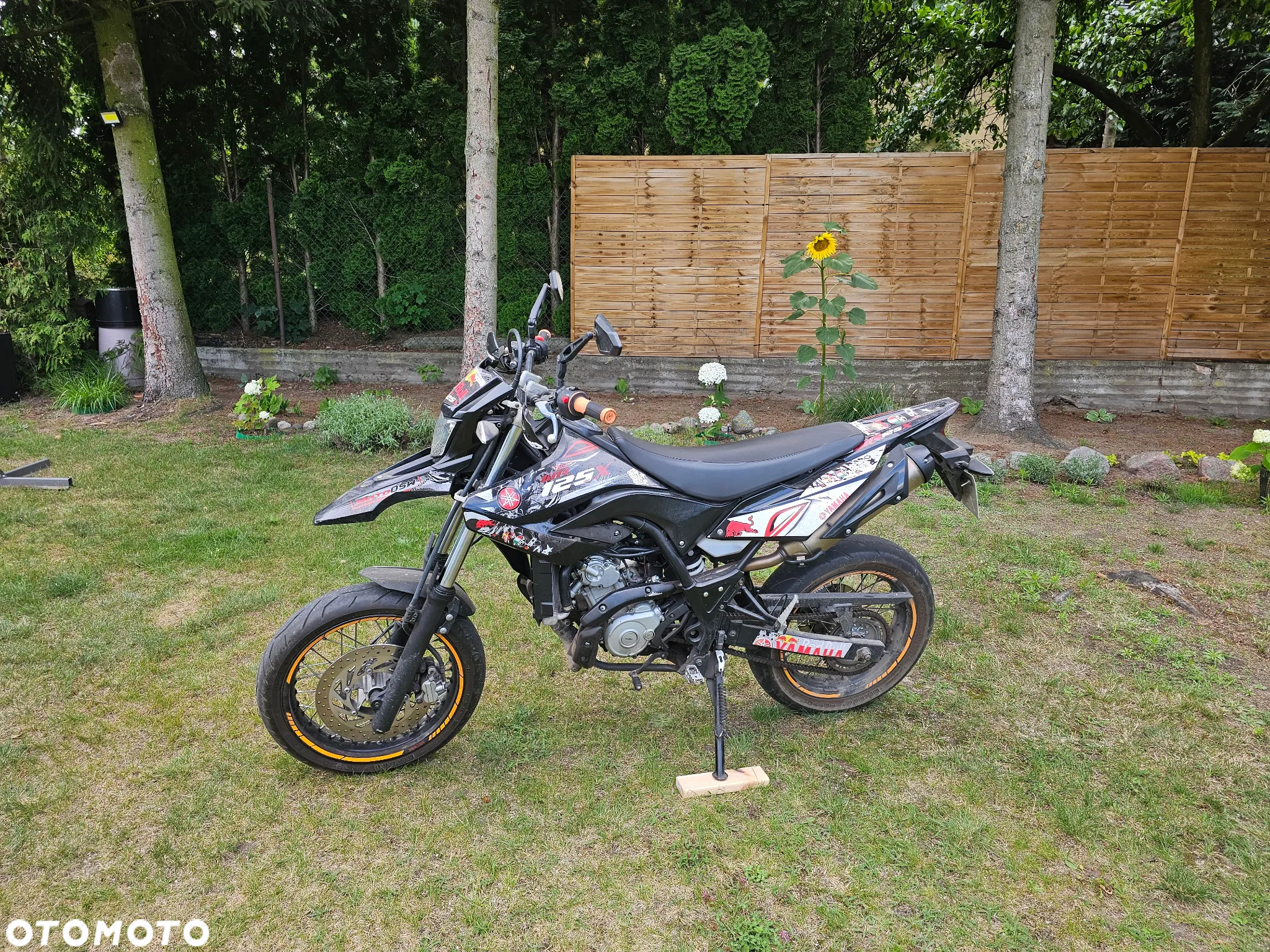 Yamaha WR - 4