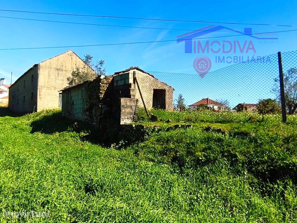 Quinta com mais de um héctar de terreno, em Graça, Pedrogão Grande - Grande imagem: 2/25
