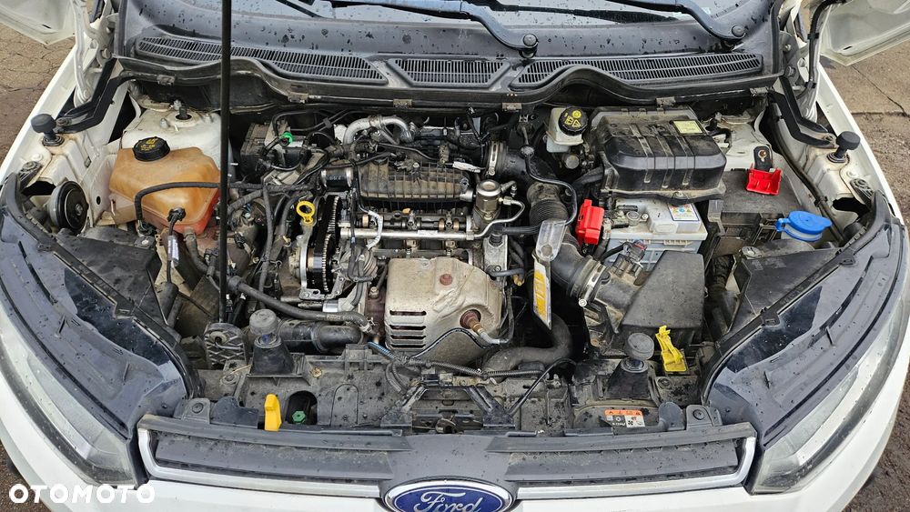 Ford EcoSport 1.0 EcoBoost TREND - 5