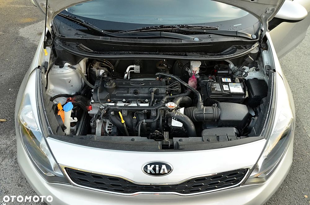 Kia Rio - 18