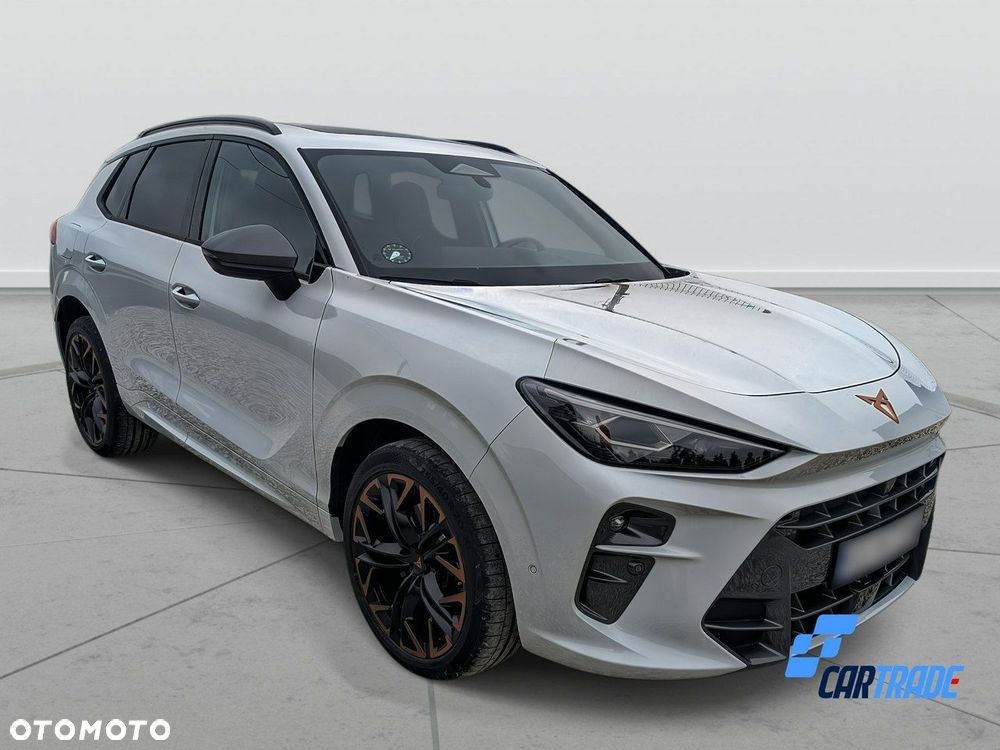 Cupra Terramar - 4