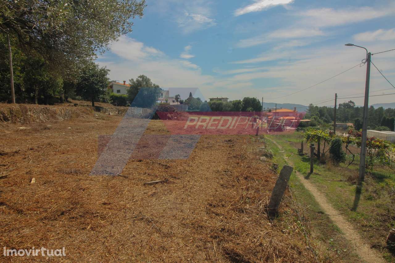 Fantástico Terreno para Construção em Cervães! - Grande imagem: 3/18