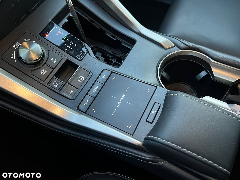 Lexus NX 300h - 18