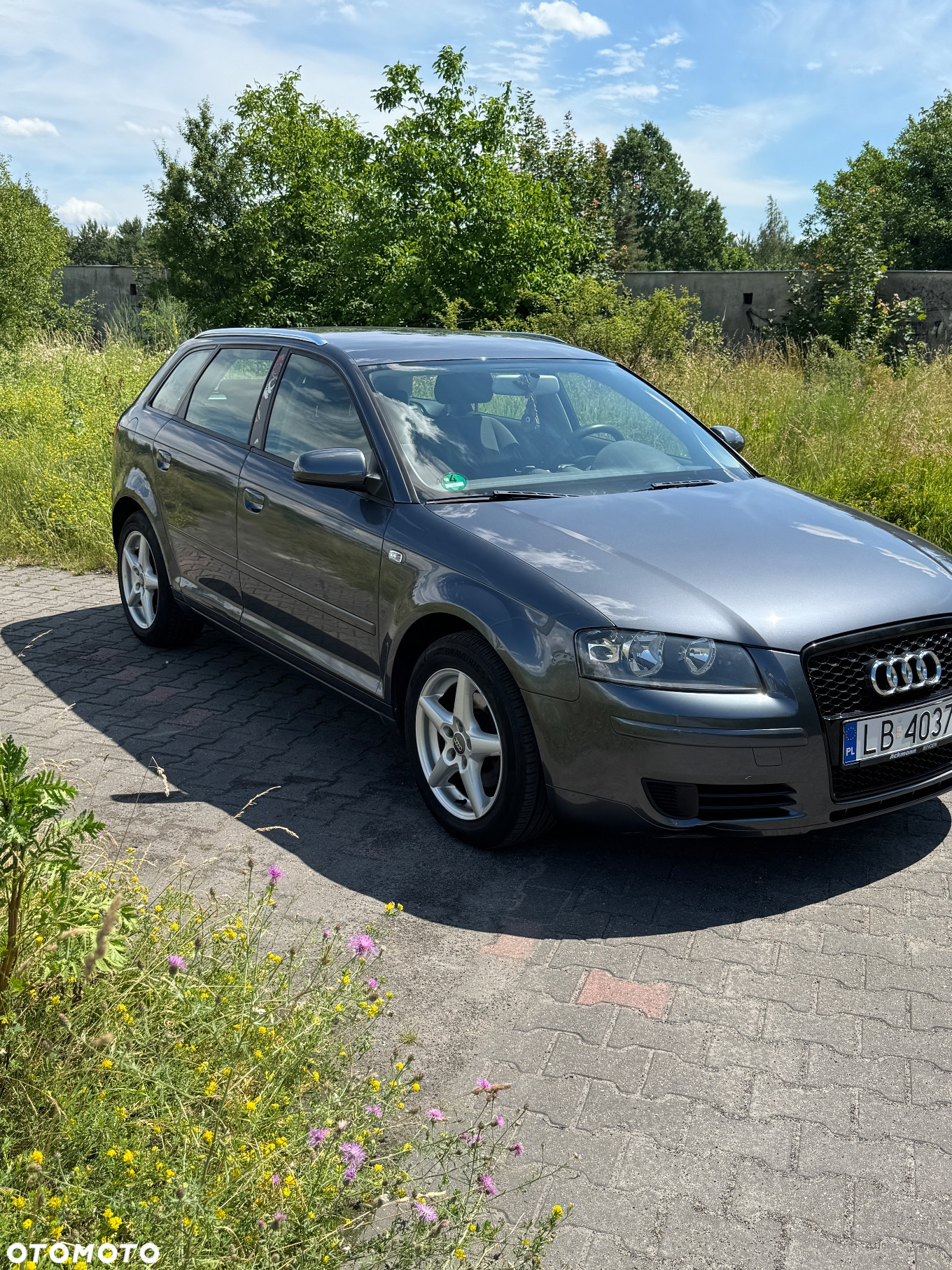 Audi A3 1.6 Ambiente - 3