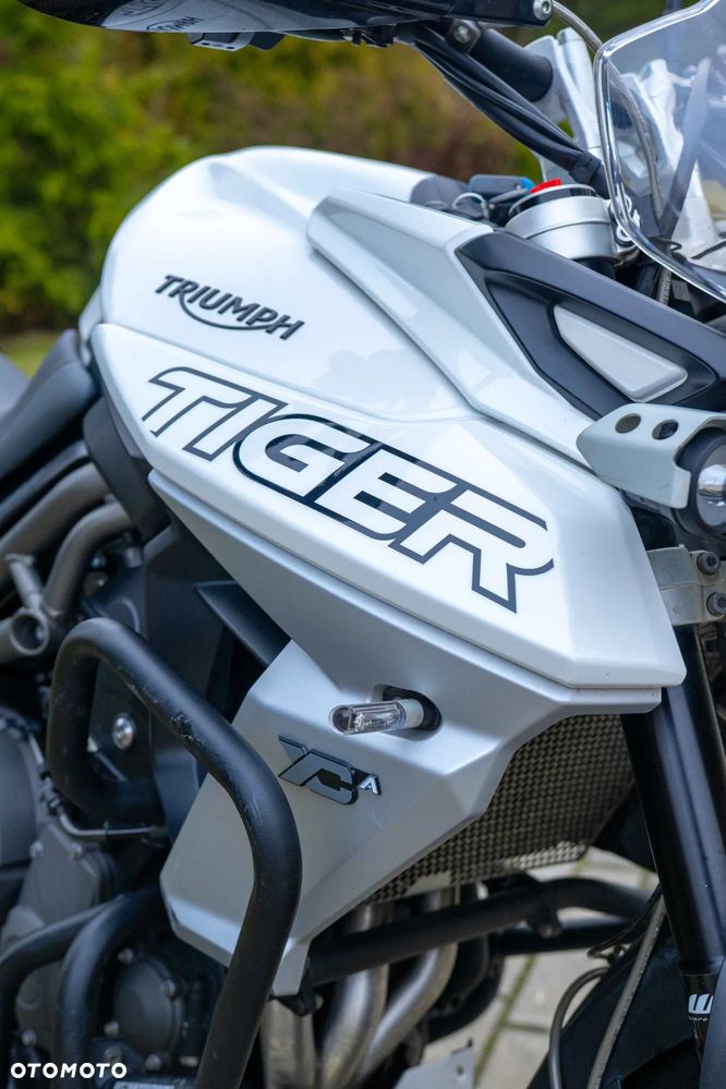 Triumph Tiger - 22