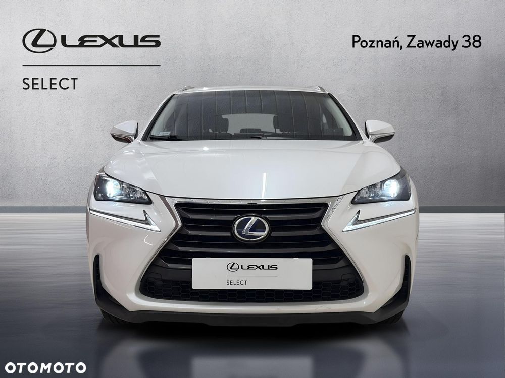 Lexus NX 300h Elite AWD - 6