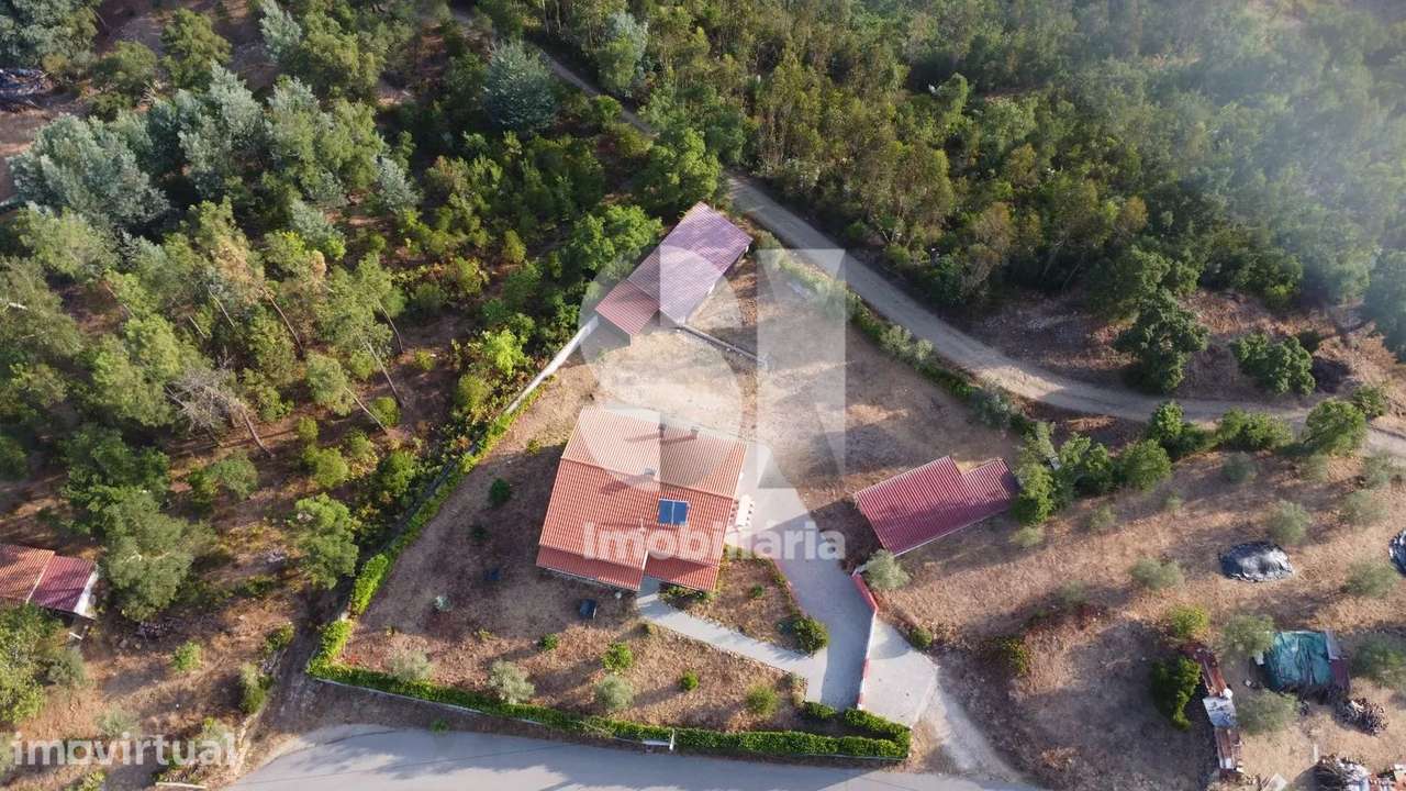 3 TERRENOS RUSTICOS COM 6500 M2 - Grande imagem: 3/12