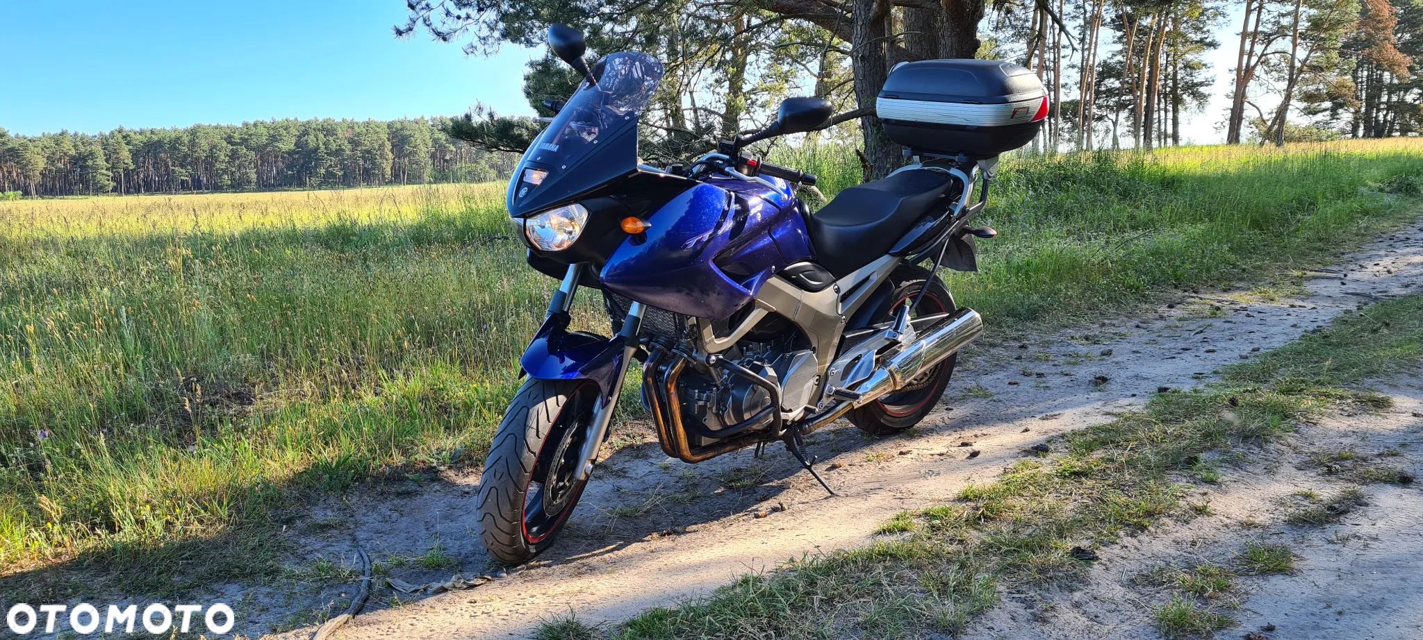 Yamaha TDM - 1