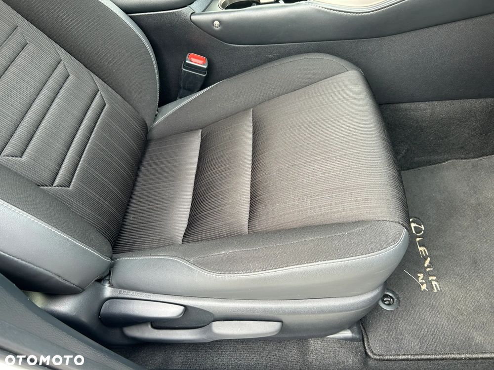 Lexus NX 300 Prestige AWD - 19