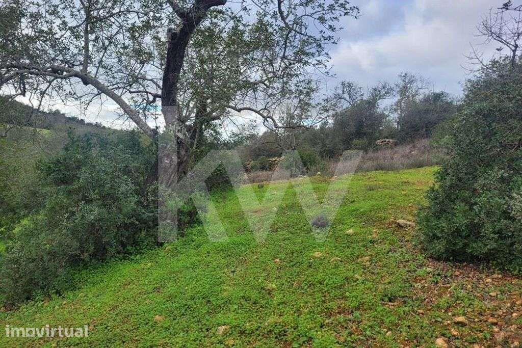 TERRENO RÚSTICO COM 5240M2 NO MALHÃO-PADERNE-ALBUFEIRA - Grande imagem: 3/10