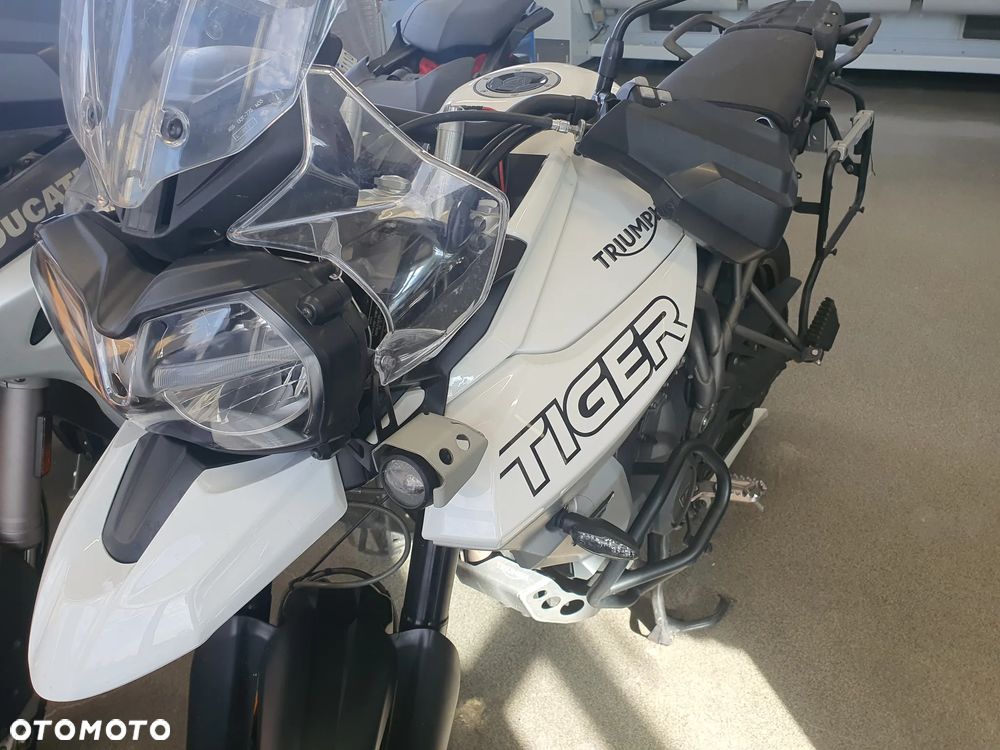 Triumph Tiger - 21