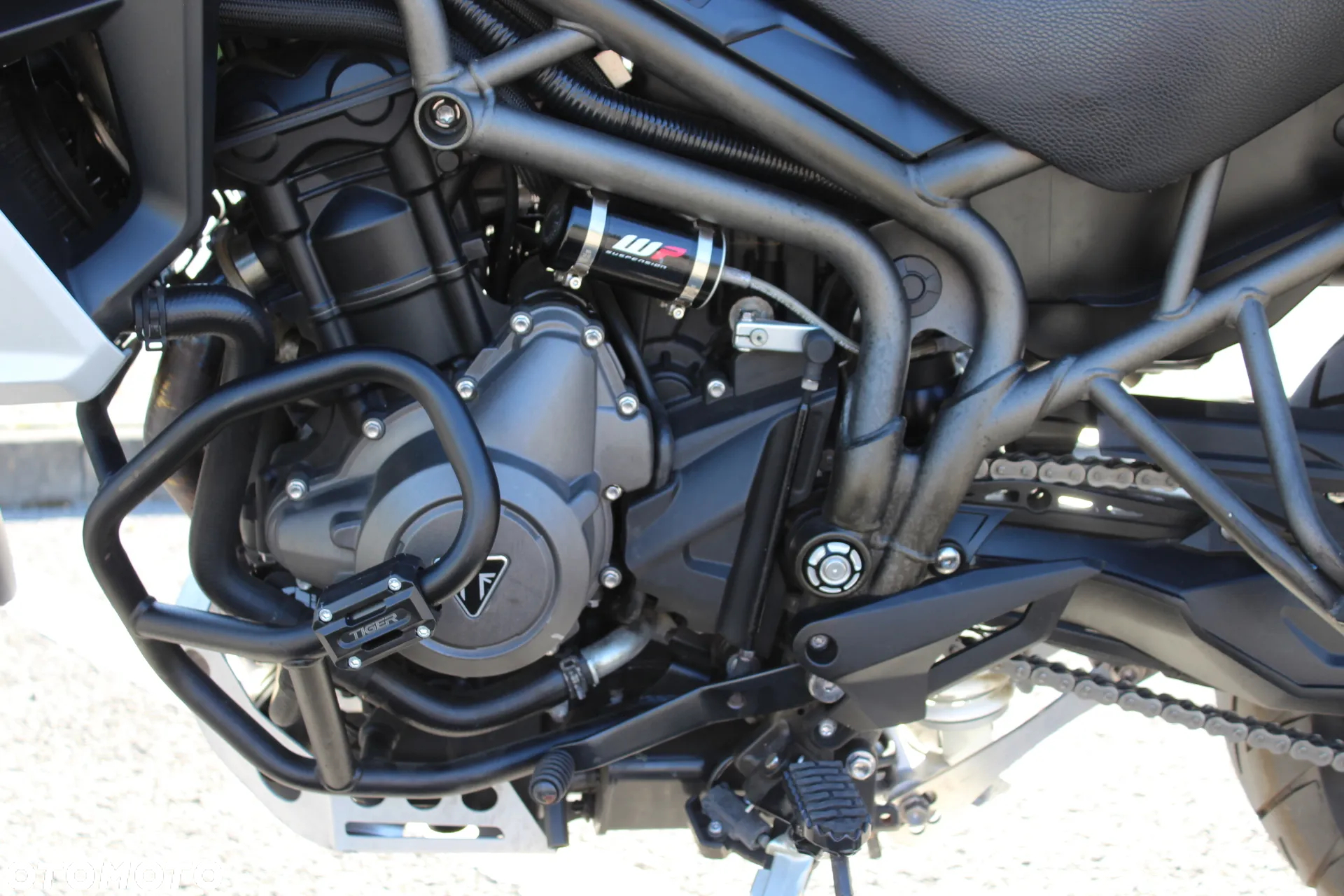 Triumph Tiger - 12
