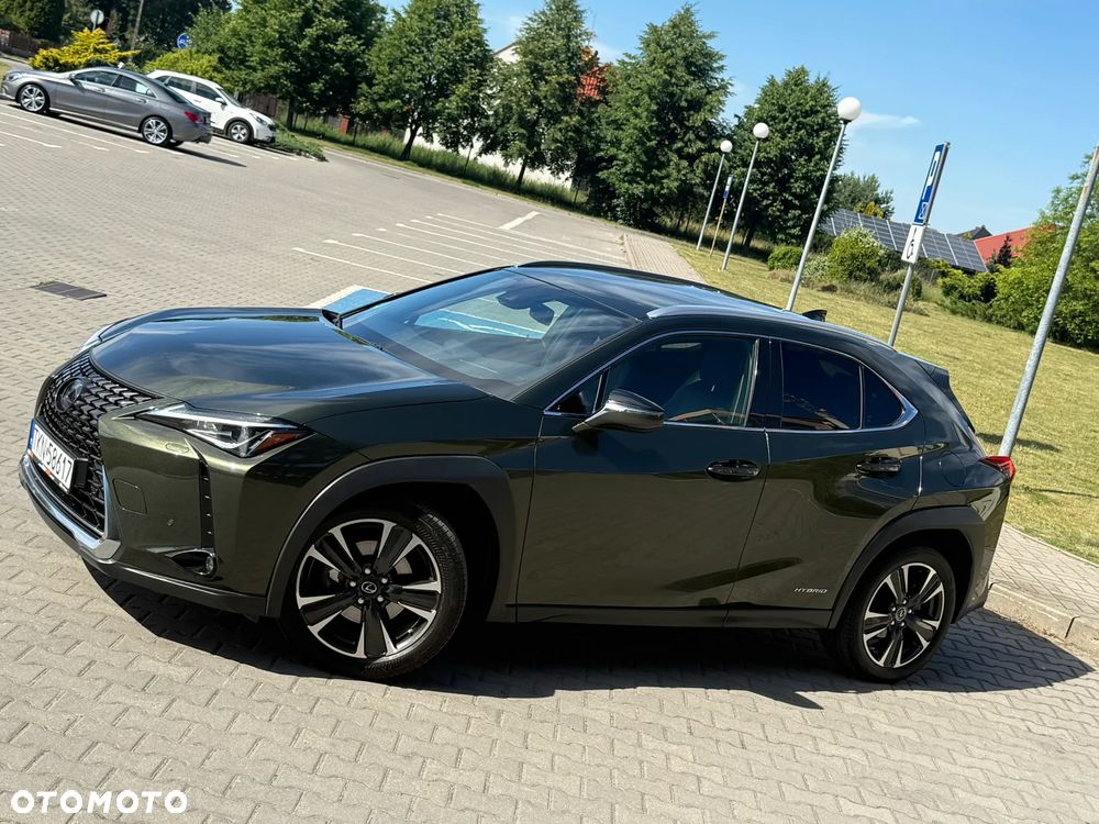 Lexus UX 250h F Sport 2WD - 16