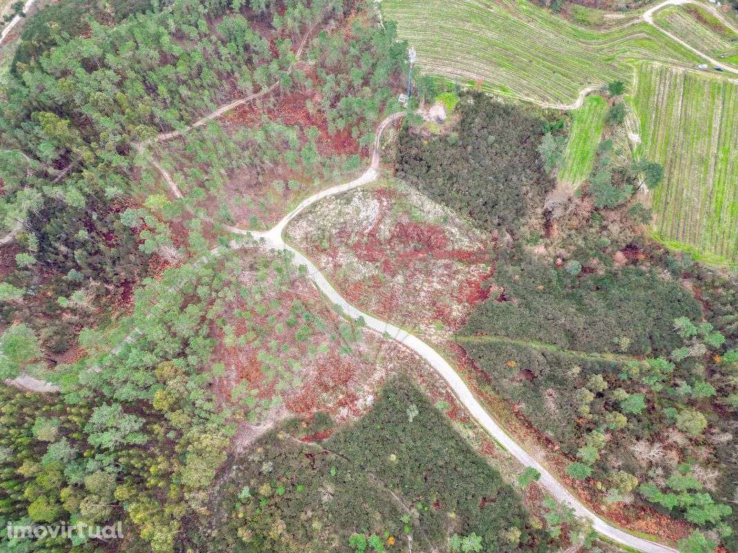 Terreno  para venda - Grande imagem: 2/6