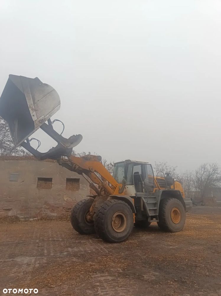 Liebherr L576 - 1