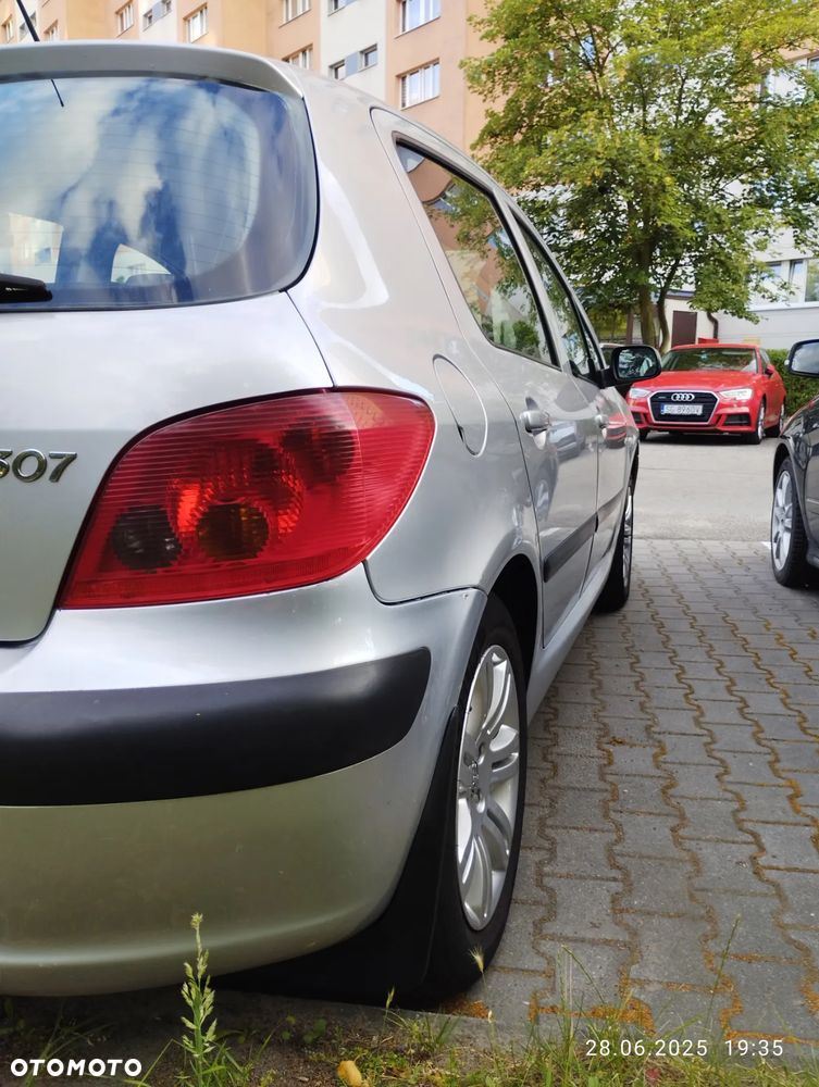 Peugeot 307 1.6 Mistral - 3