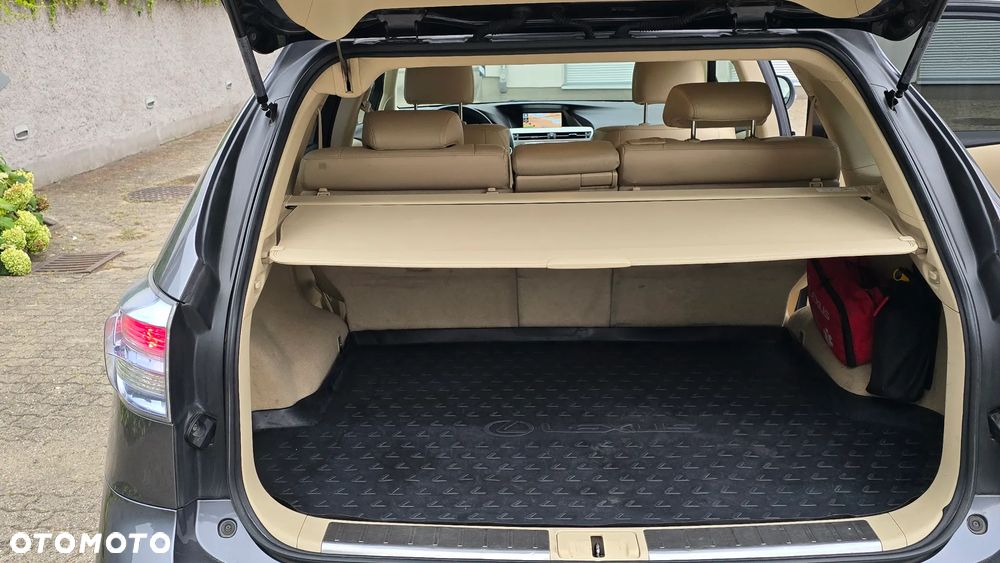 Lexus RX - 18