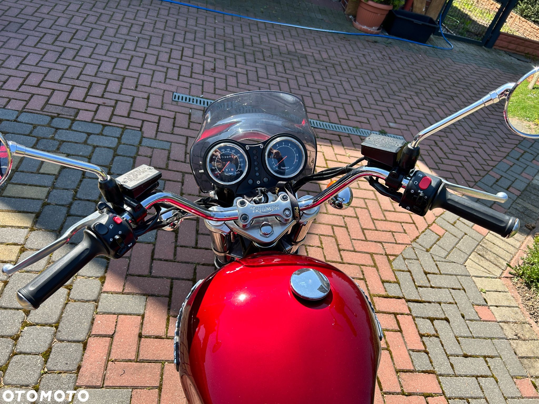 Triumph Legend TT - 1