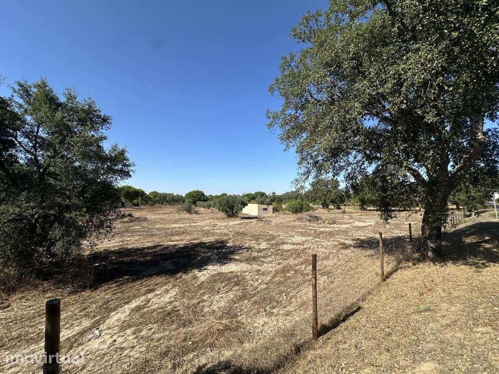 Dois terrenos contíguos, 59.954 m² com casa, Grândola - Grande imagem: 4/22