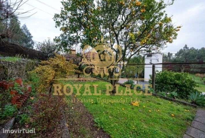 Terreno p/ Construção São Roque - Grande imagem: 3/7