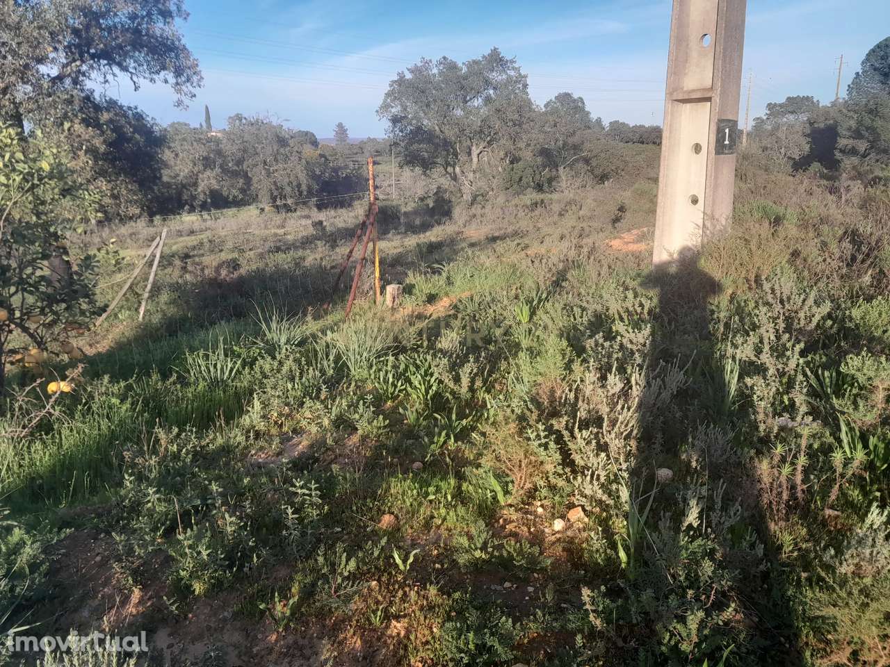 Terreno Zona Calma - Grande imagem: 4/21