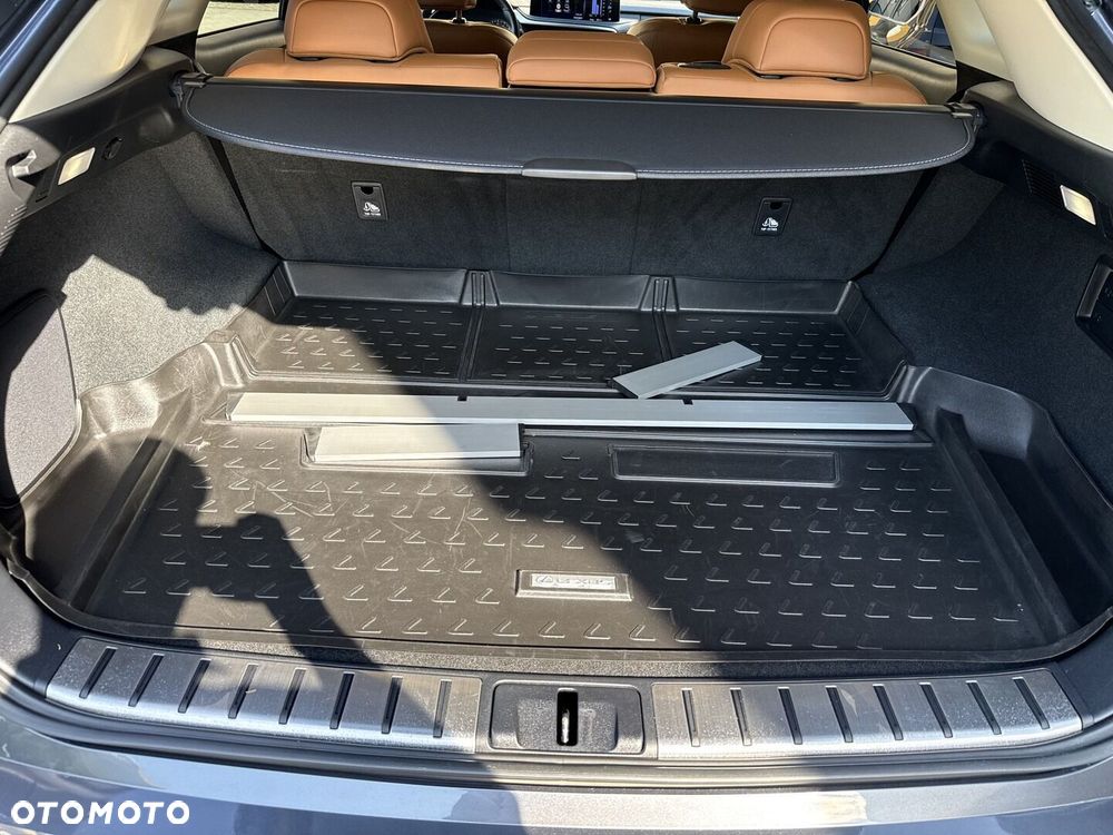 Lexus RX - 14