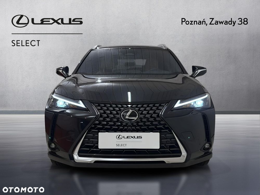 Lexus UX 300h Prestige - 6