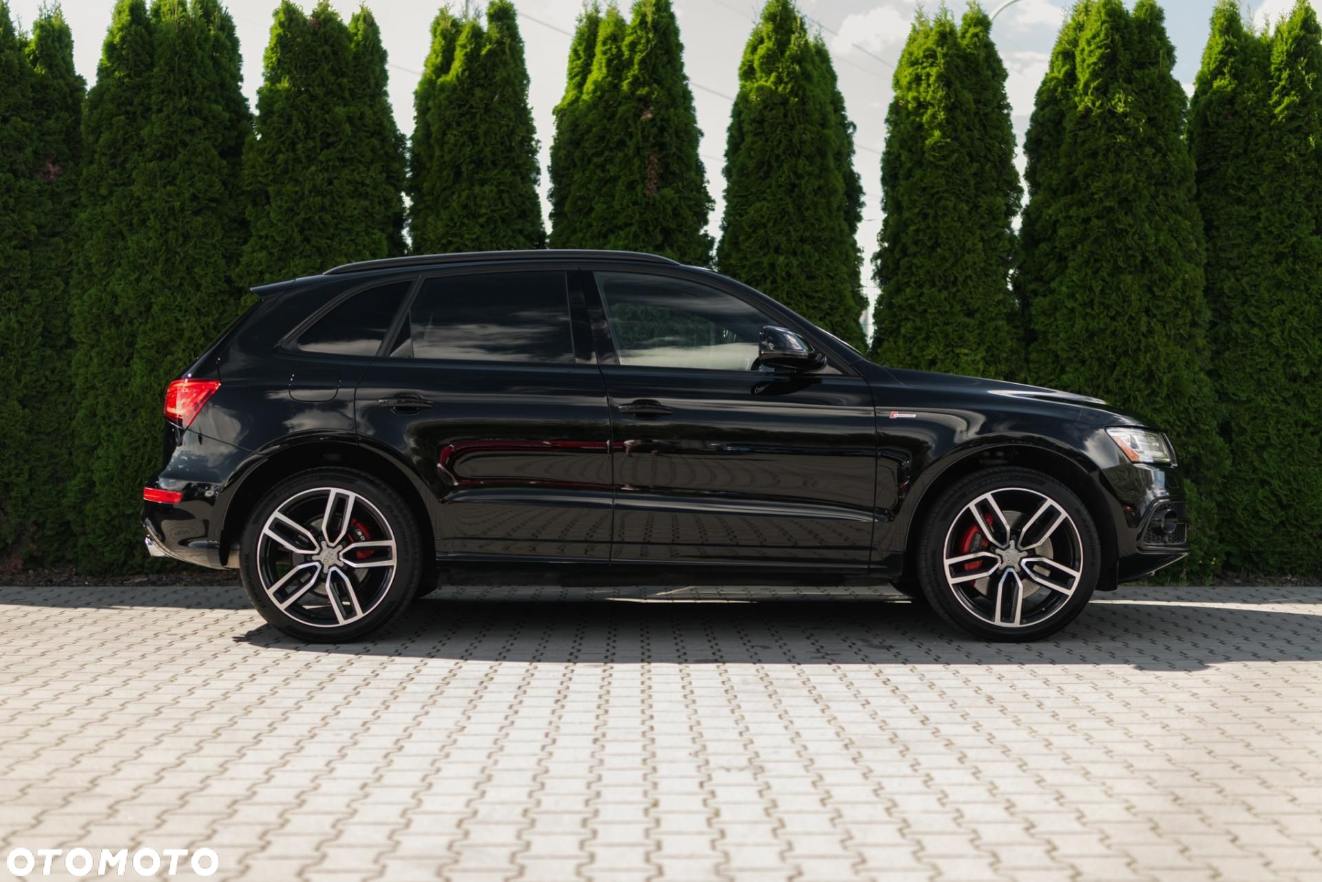 Audi SQ5 - 8