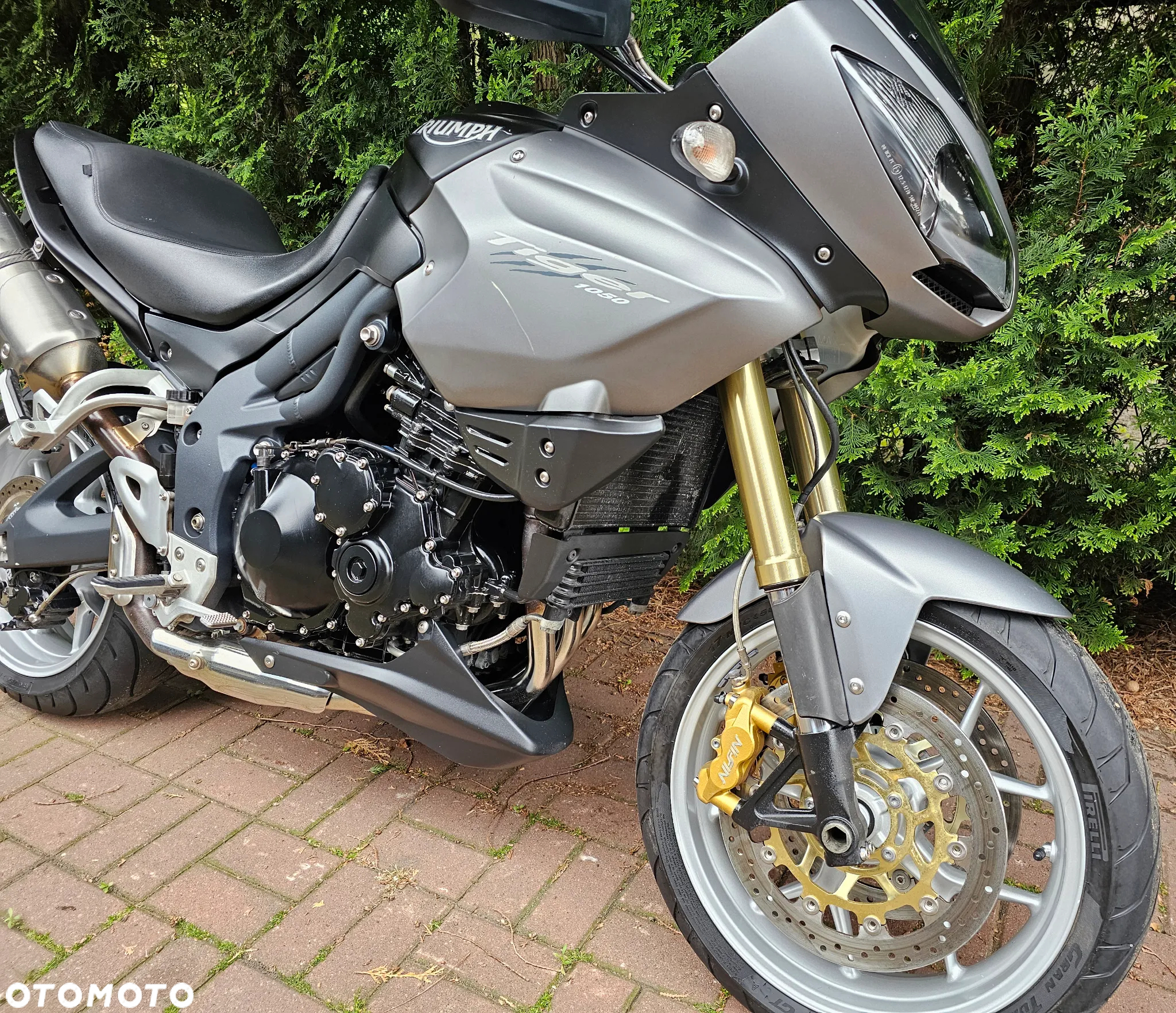 Triumph Tiger - 5