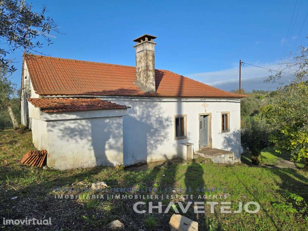 Moradia em Pedra com Carácter, 3 Quartos, Anexo e Terreno para vend... - Grande imagem: 5/38