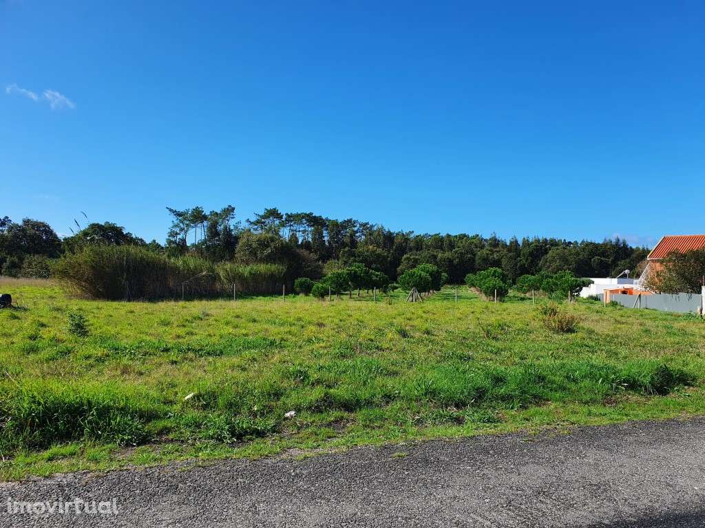 Terreno de 8.293m2 na Tornada - Caldas da Rainha - Grande imagem: 2/12