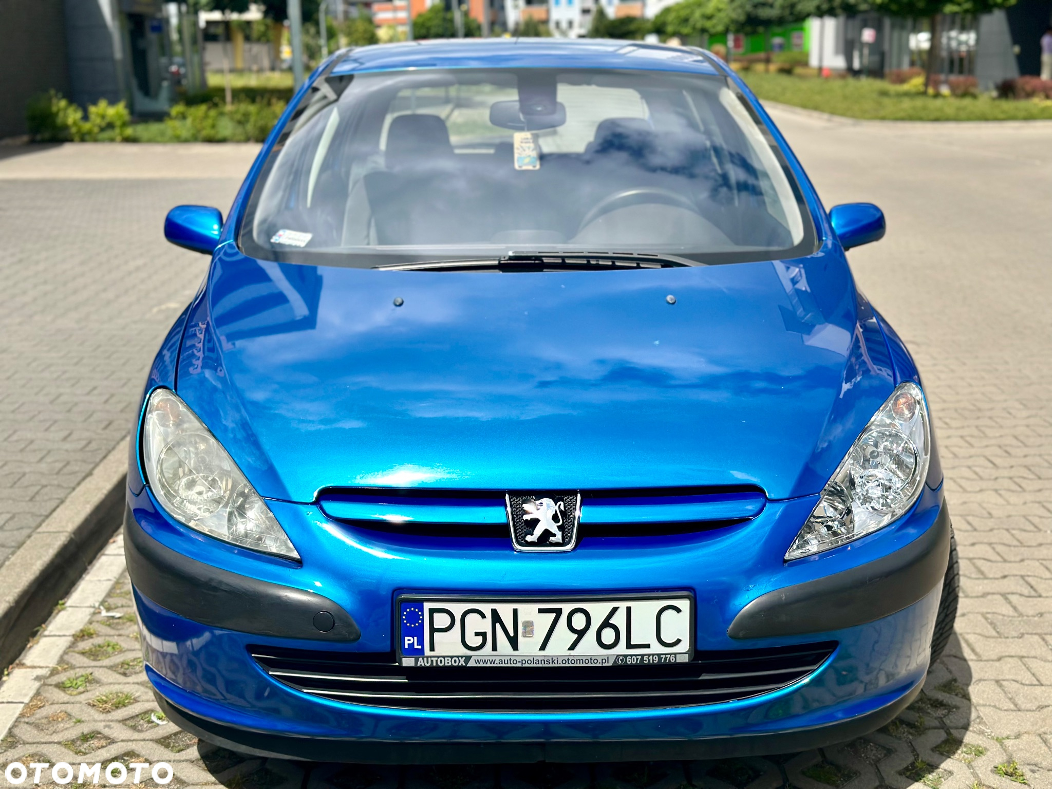 Peugeot 307 1.6 - 11