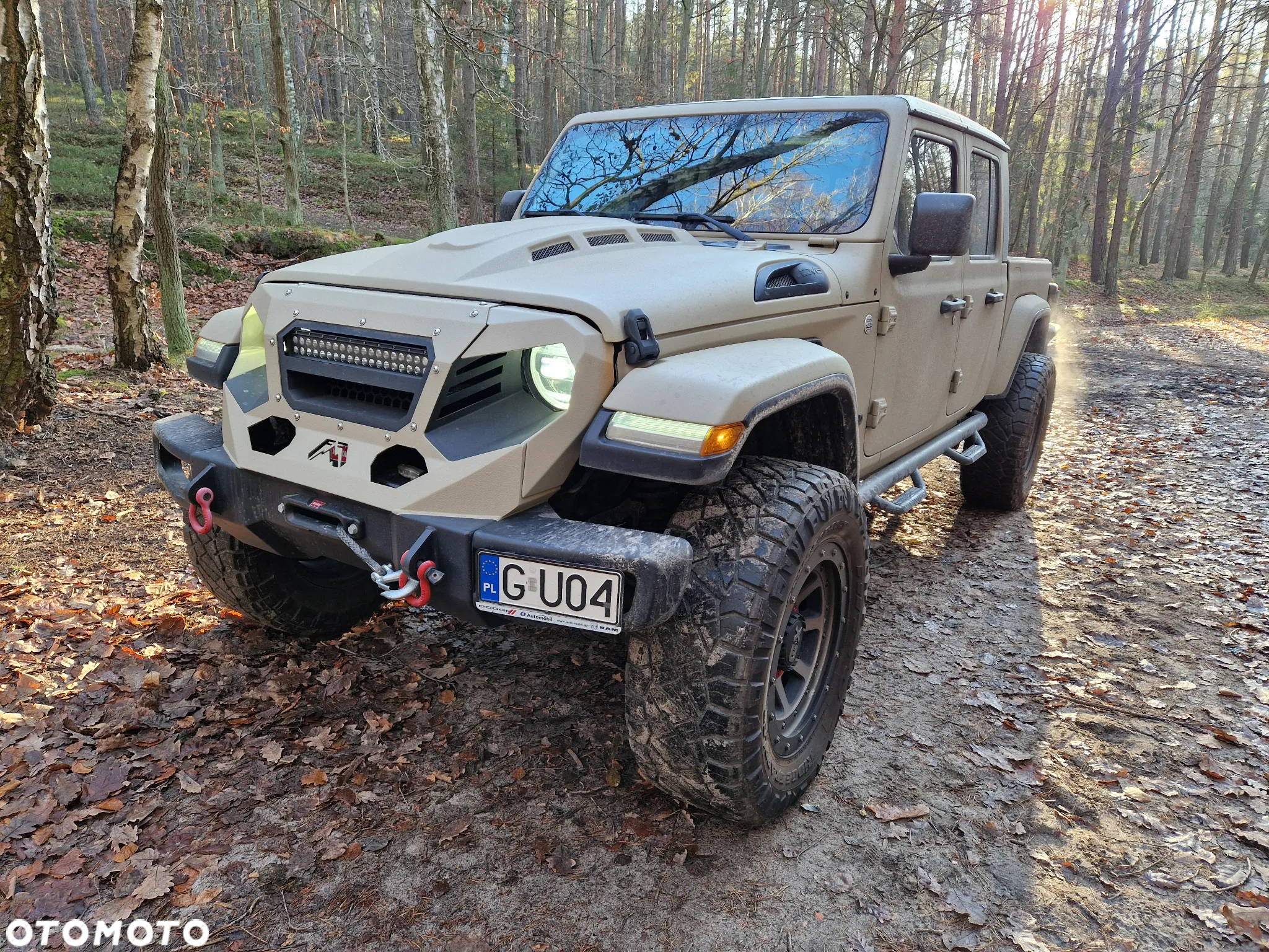 Jeep Inny - 5