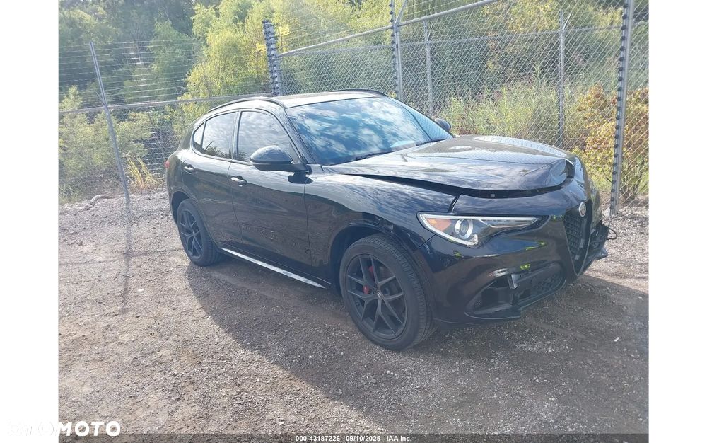 Alfa Romeo Stelvio 2.0 Turbo 16V AT8-Q4 Veloce - 2