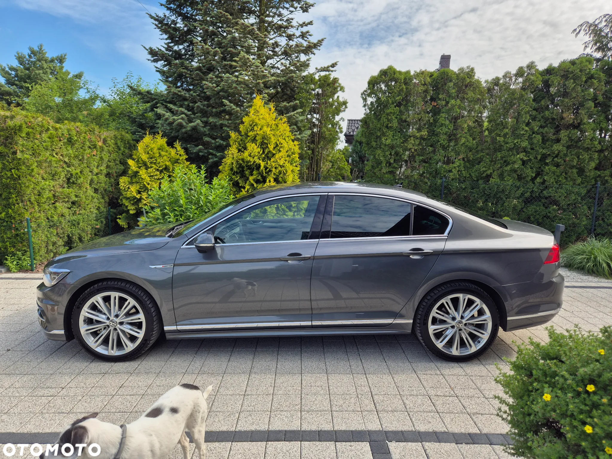 Volkswagen Passat 2.0 TDI Bi-Turbo BMT 4Mot Highline DSG - 5