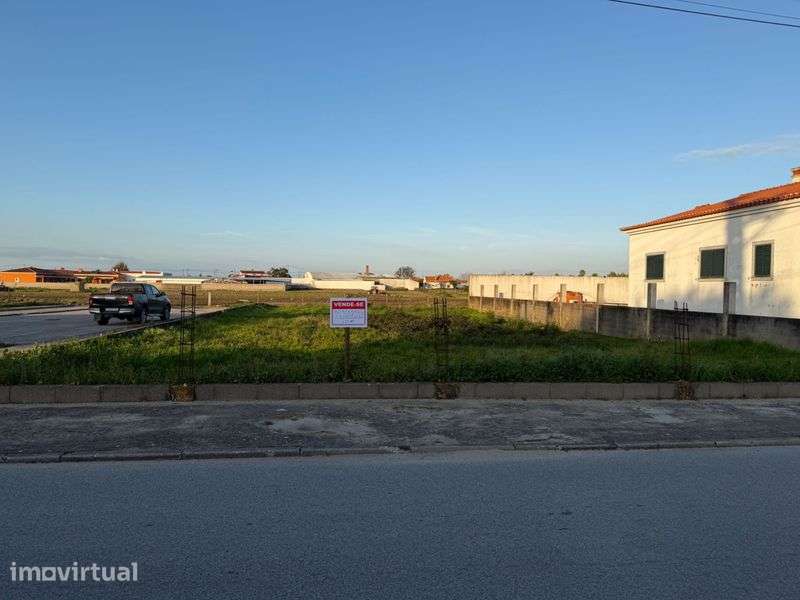 Lote Urbano 714m2 Salvaterra - Grande imagem: 2/3