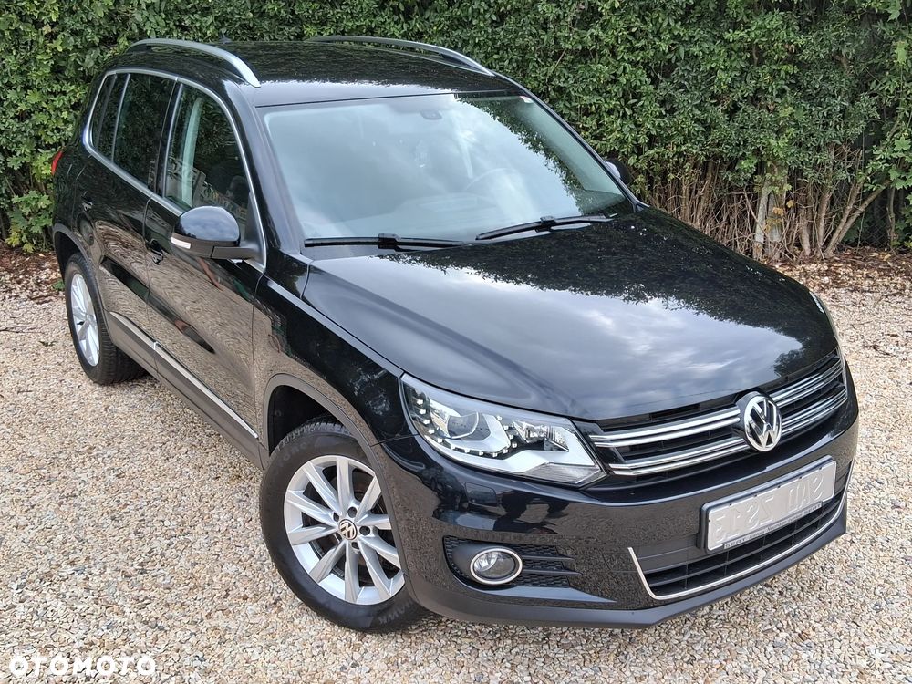 Volkswagen Tiguan - 24