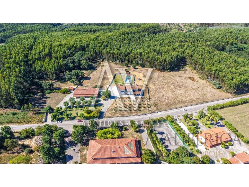 Quinta com 3,14 Hectares e Piscina | Ferreira do Zêzere - Grande imagem: 2/56