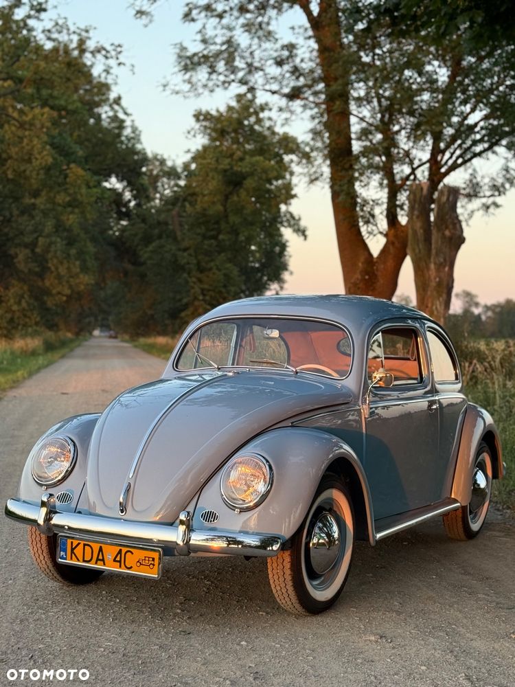 Volkswagen Garbus - 3