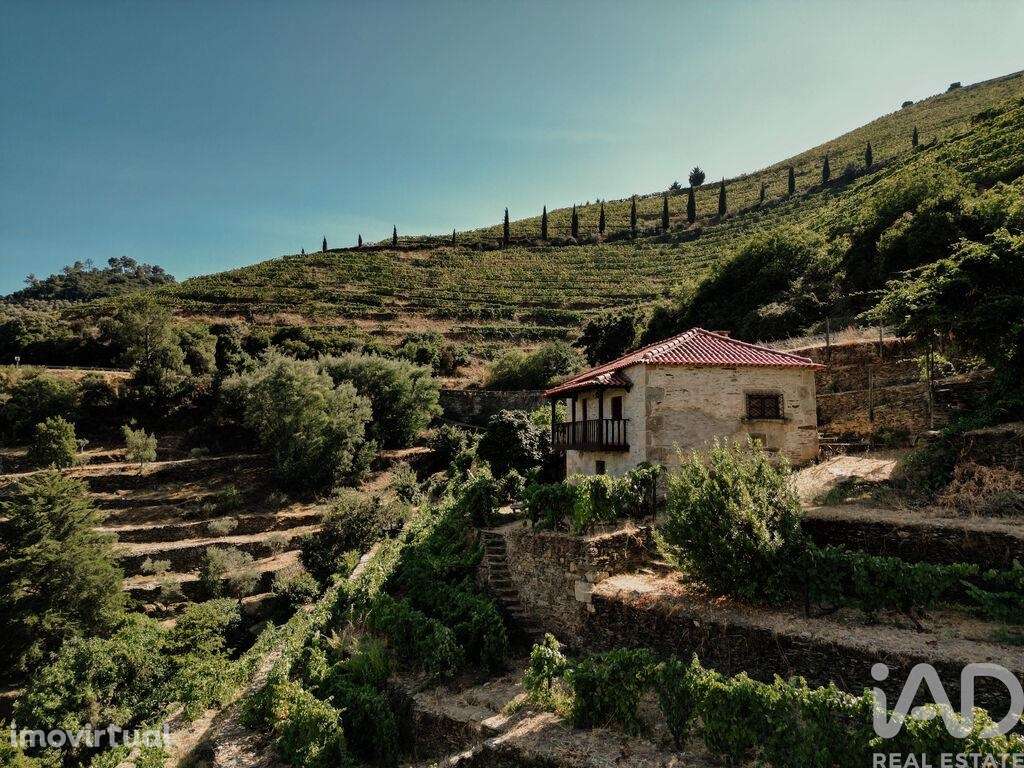 Quinta T1 em Tabuaço de 108,00 m2 - Grande imagem: 2/30