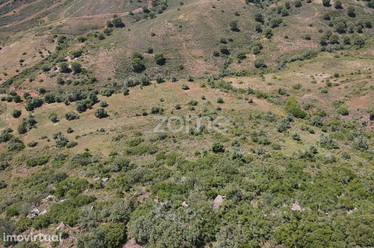 Terreno rústico c/poço em Gralheira com 21.760m2, Messines - Grande imagem: 4/13